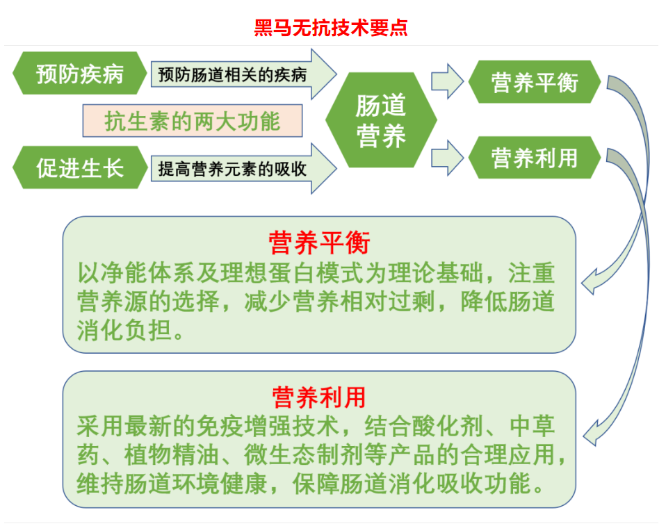 無(wú)抗新技術(shù)，..